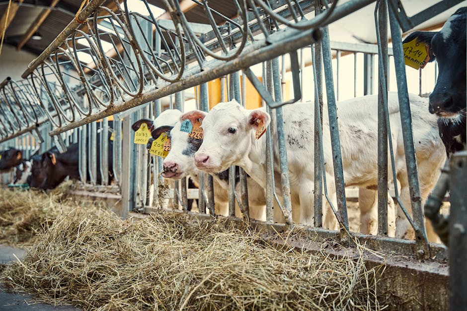 Read more about the article Creating a Sustainable Time Management Methods Practice